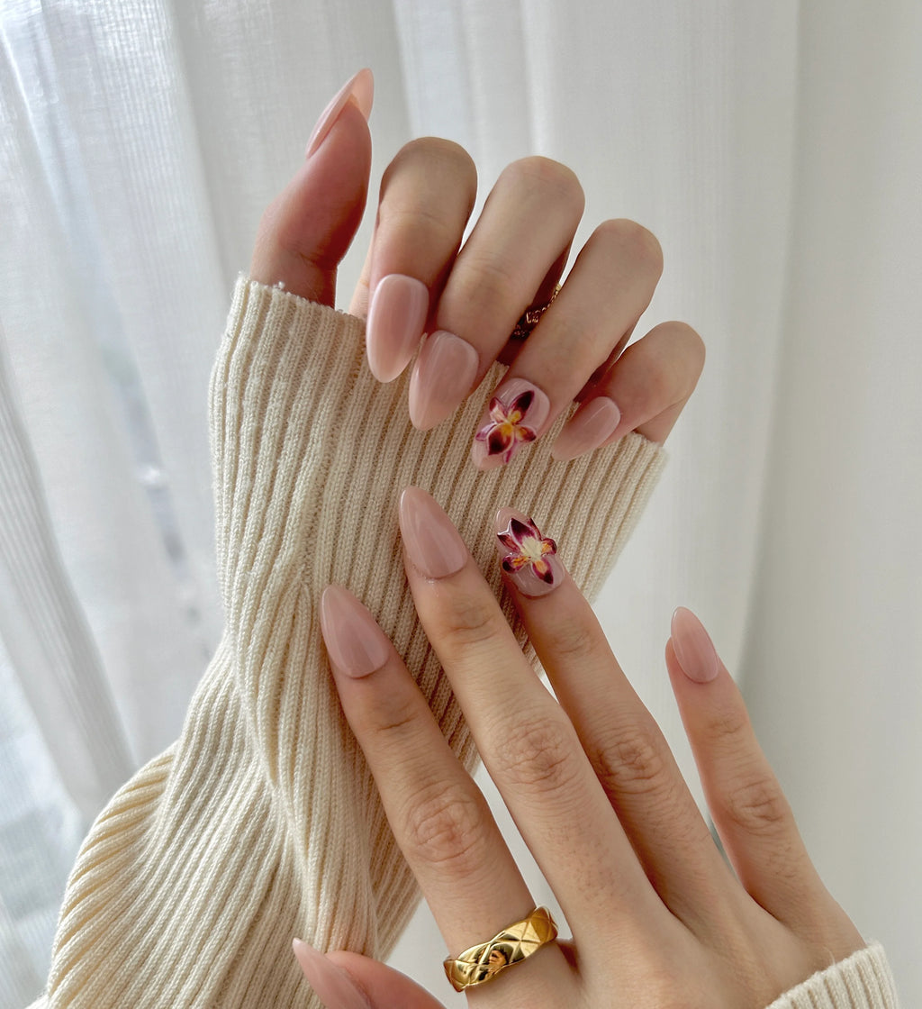 Rosy Orchid